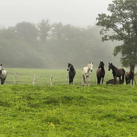 El Jardin De Magnolias Quintana de Soba