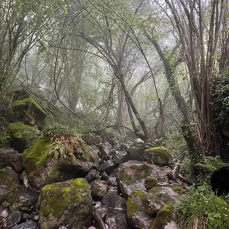 El Jardin De Magnolias Hotel *