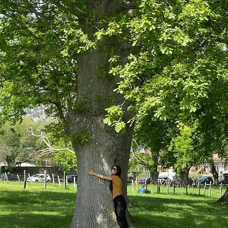 El Jardin De Magnolias * Quintana de Soba
