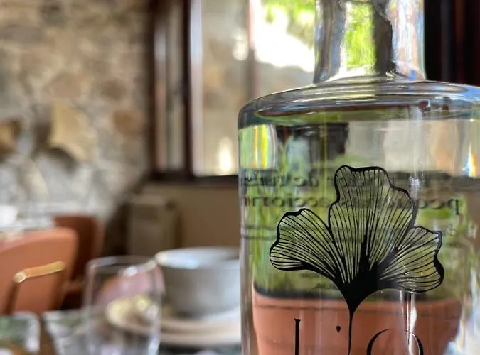 El Jardin De Magnolias *