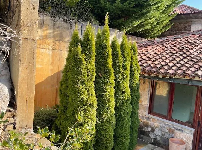 El Jardin De Magnolias מלון Quintana de Soba