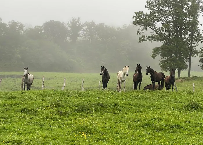 El Jardin De Magnolias Quintana de Soba