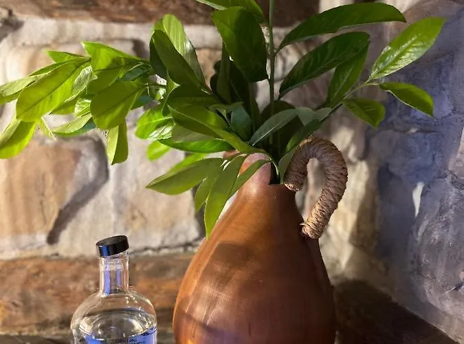 מלון El Jardin De Magnolias Quintana de Soba