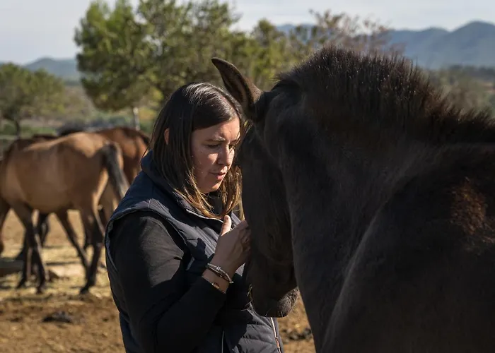 El Jardin De Magnolias Quintana de Soba