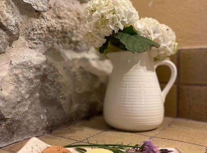 El Jardin De Magnolias