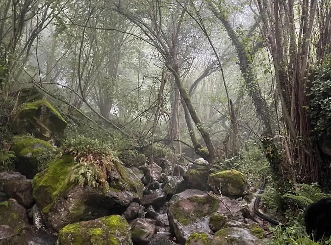 El Jardin De Magnolias Hotell *