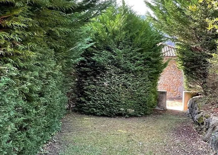 El Jardin De Magnolias Quintana de Soba