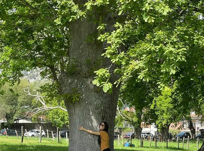 El Jardin De Magnolias * Quintana de Soba